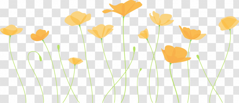 Yellow Flower Plant Stem Plant Wildflower Transparent PNG