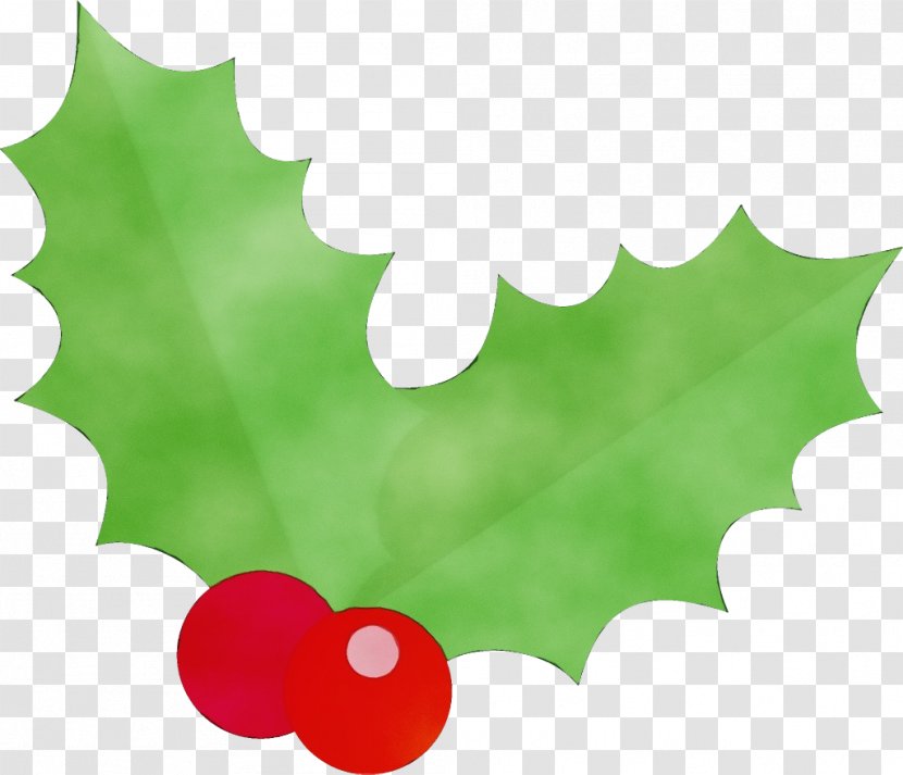Holly - Tree Plant Transparent PNG