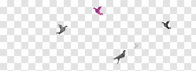 Beak Bird Migration Crane Flock - Wing - Flex Designs Transparent PNG