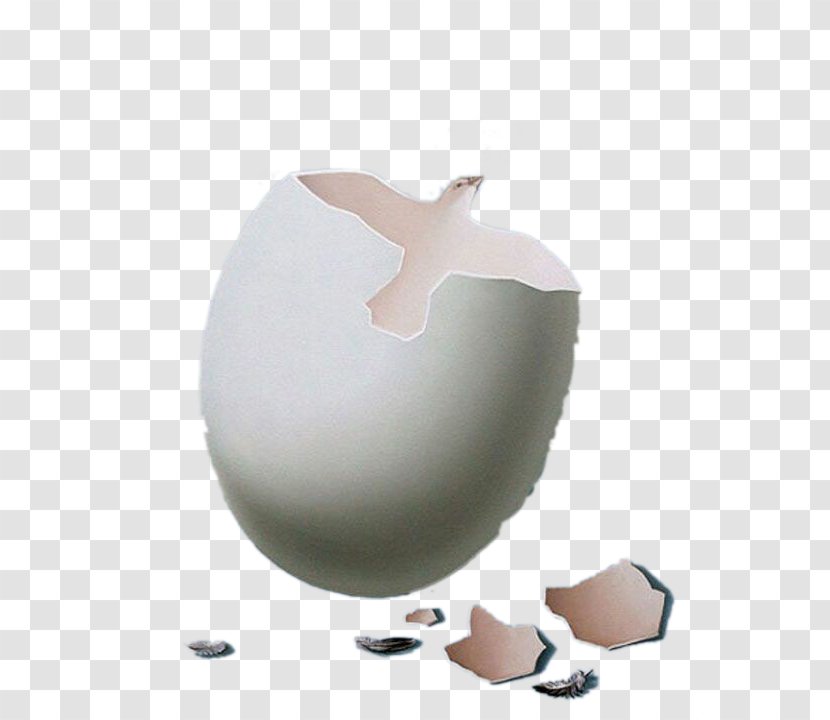 Chicken Egg Google Images - Gratis - Creative IllustrationDove And Shell Transparent PNG