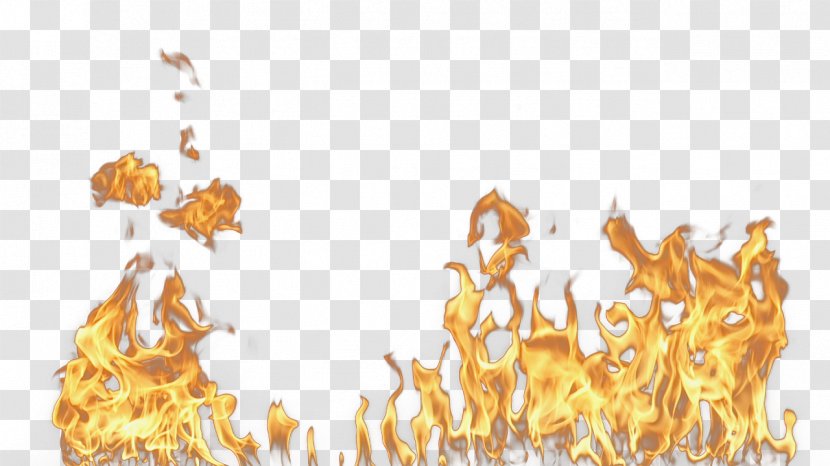 Yellow Flame Wallpaper - Flower - Fire Transparent PNG