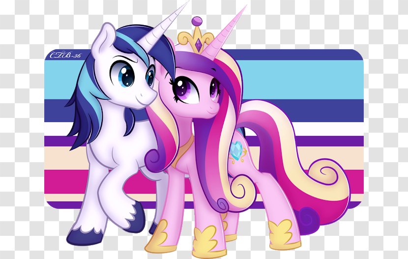 Princess Cadance Shining Armor My Little Pony: Friendship Is Magic Fandom - Cartoon - Sleepy Bat Transparent PNG