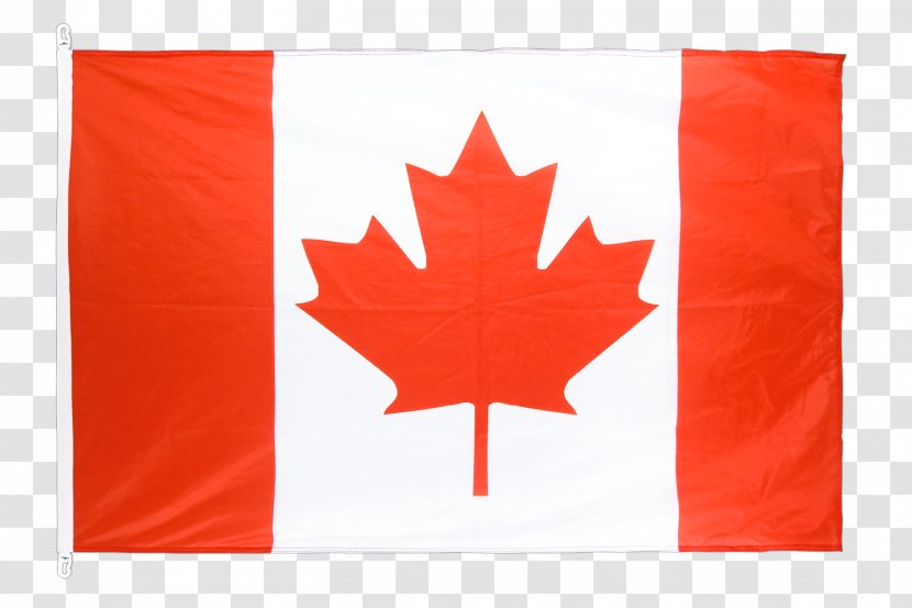 Flag Of Canada National Yukon - Maple Leaf Transparent PNG
