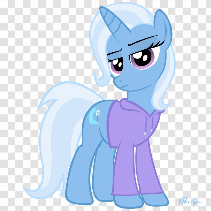 Hoodie Pony Animation Sweater - Flower - Shivaji Transparent PNG