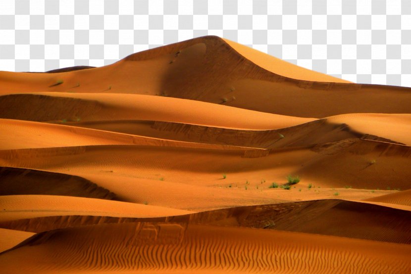 Desert Erg Natural Environment Aeolian Landform Sand - Landscape Brown Transparent PNG