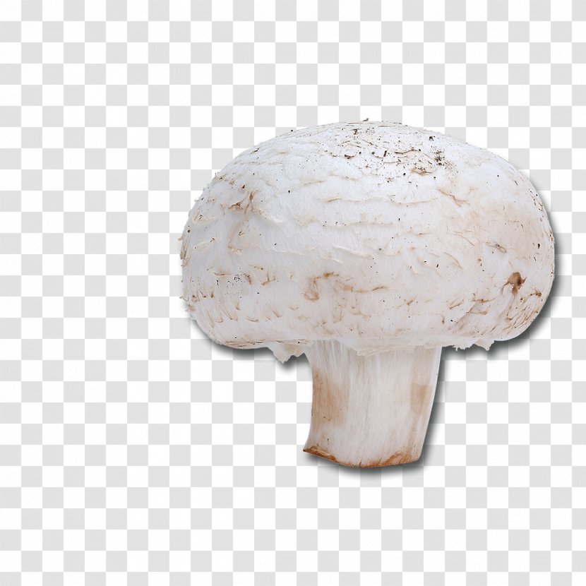 Common Mushroom Dietary Fiber Recipe Riboflavin - Ingredient - Champignon Transparent PNG