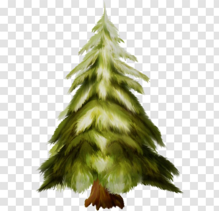 Christmas Tree Ornament Fir Spruce Pine Transparent PNG