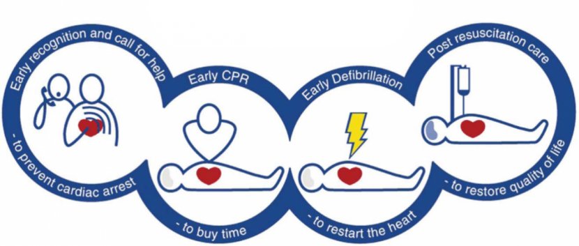 Cardiopulmonary Resuscitation Chain Of Survival Basic Life Support Cardiac Arrest Automated External Defibrillators - Symbol - Cliparts Transparent PNG