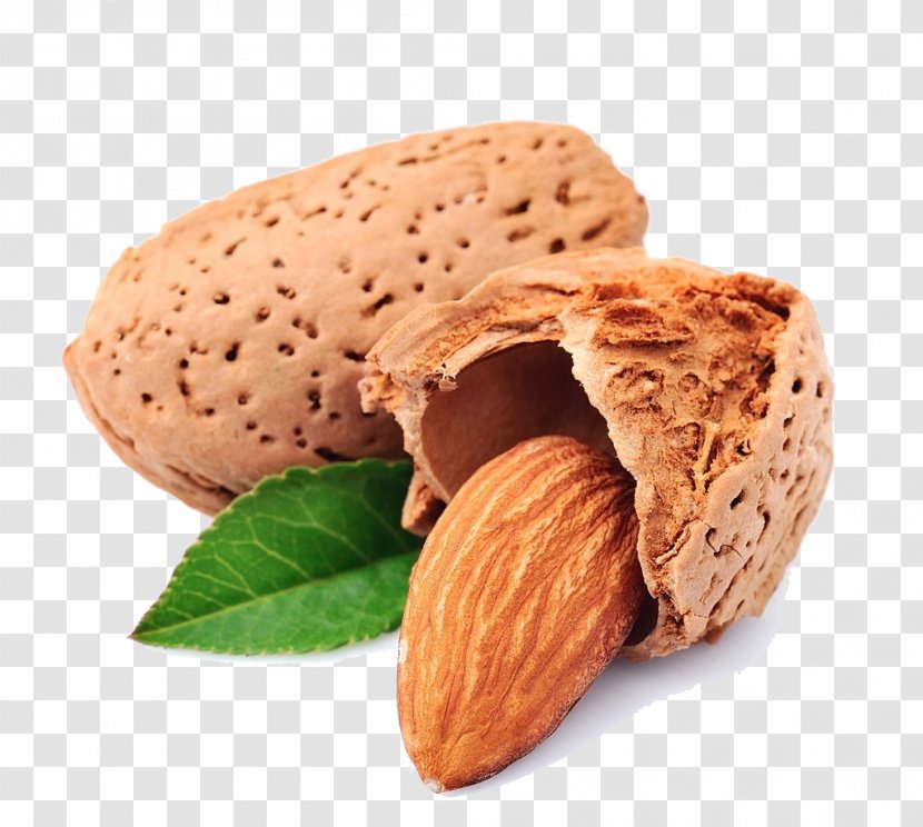 Almond Apricot Kernel Peanut Food Transparent PNG