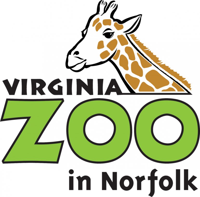 Virginia Zoological Park Giraffe Logo Safari - Fauna - Homeschool Creative Writing Ideas Transparent PNG