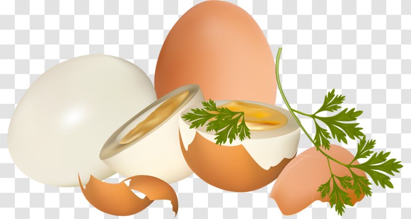 Eggshell Chicken Egg - White Transparent PNG