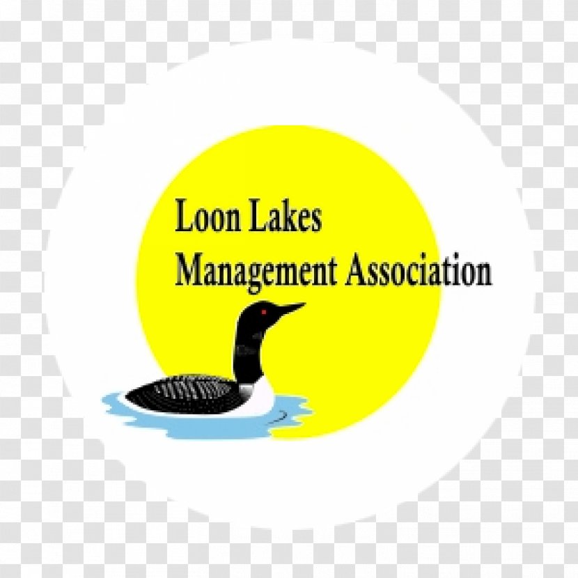 Antioch Logo Loons Brand Beak - Lake - Label Transparent PNG