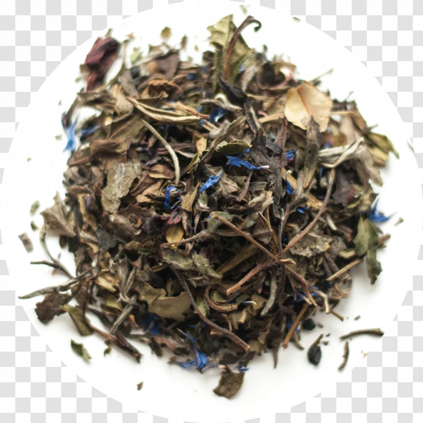 Green Tea Le Palais Des Thés Masala Chai Earl Grey - Keemun - Teahouse Coupon Transparent PNG