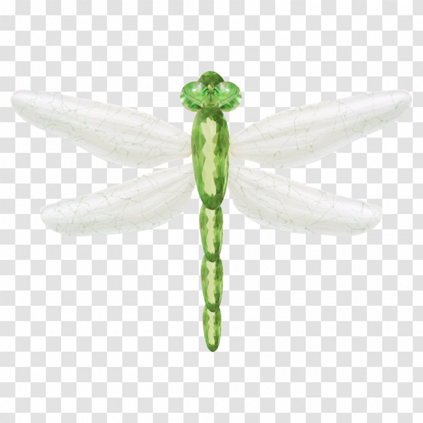Dragonfly Insect Euclidean Vector - Odonate Transparent PNG