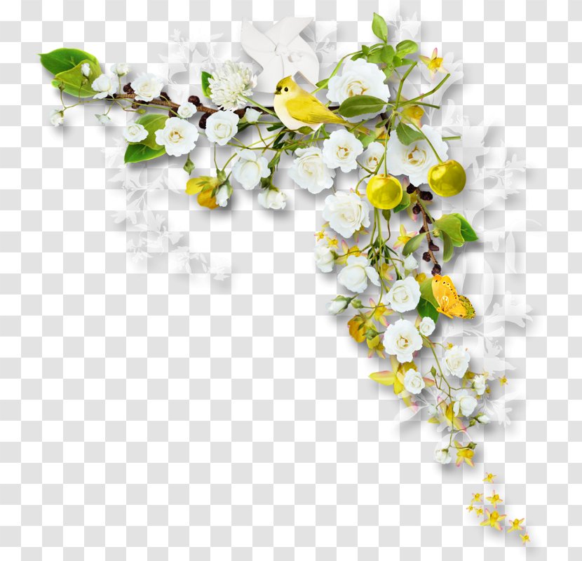 Picture Frames Flower Bouquet Clip Art Transparent PNG