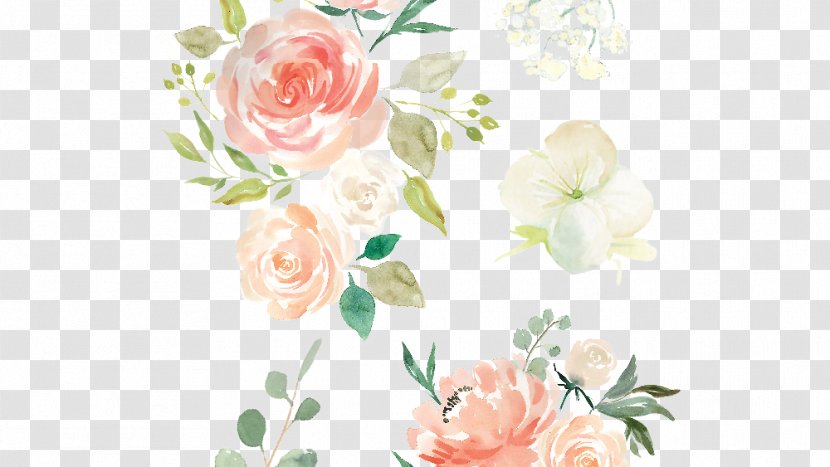 Garden Roses Floral Design Cut Flowers Flower Bouquet - Photography Transparent PNG