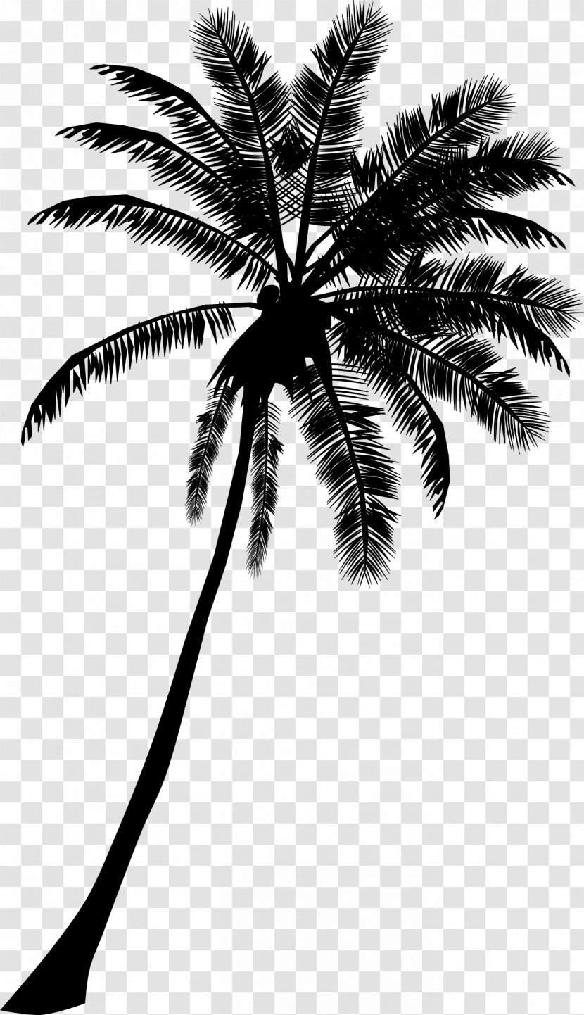 Arecaceae Tree Cdr Silhouette Clip Art - Black And White - Coconut Transparent PNG
