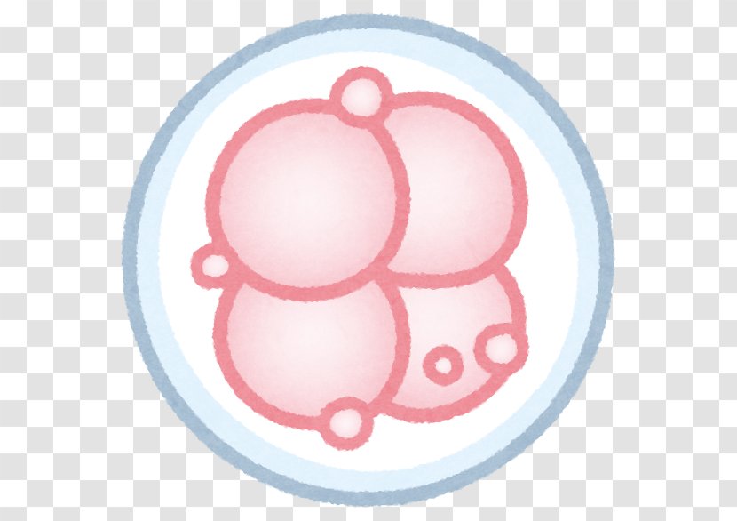 Polycystic Ovary Syndrome Embryo Infertility Transvaginal Oocyte Retrieval Fertilisation - Pink - Pregnancy Transparent PNG