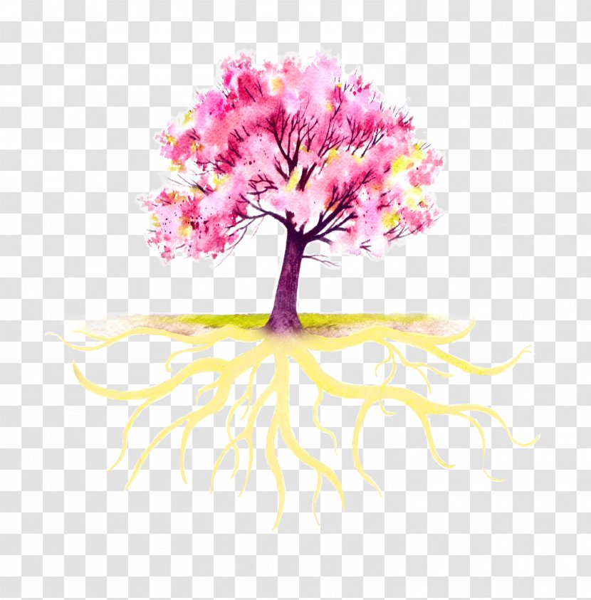 Doula Tree Root - Birth Transparent PNG