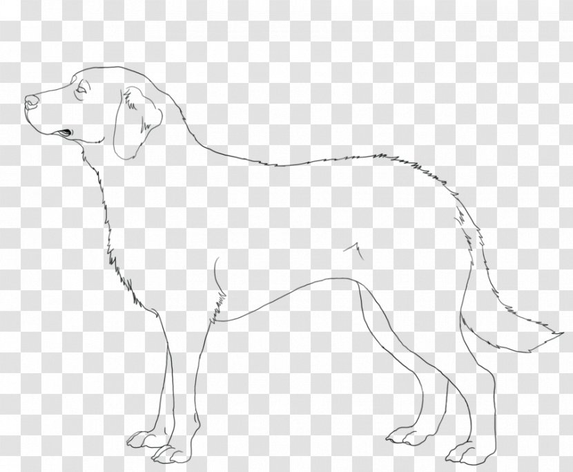 Dog Breed Companion Retriever Line Art Transparent PNG