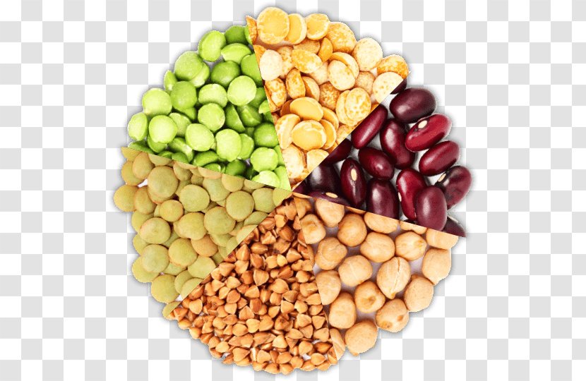 Peanut Vegetarian Cuisine Food Bean - Sprouts Cannellini Beans Transparent PNG