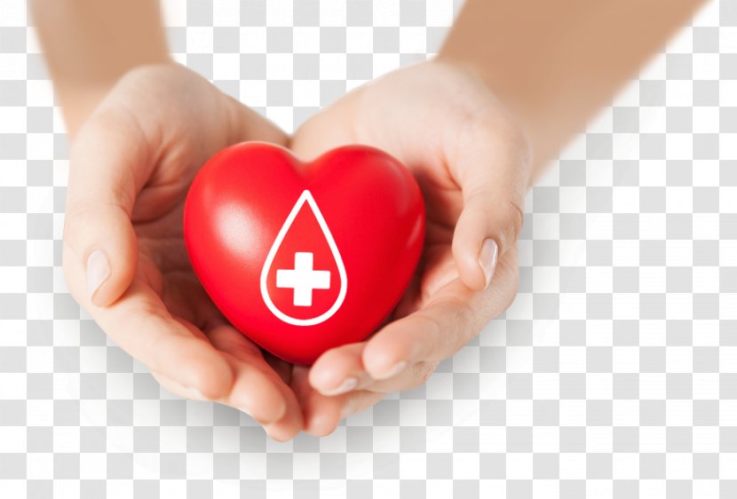 Blood Donation Stock Photography World Donor Day - Hand Transparent PNG