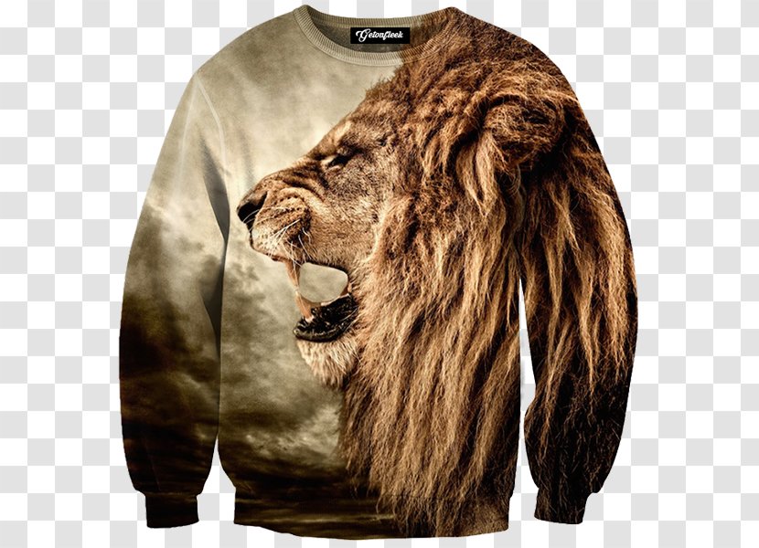 T-shirt Hoodie Clothing Sweater - Big Cats - Roar Transparent PNG
