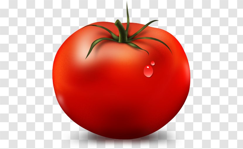 Tomato Vegetable Fruit Icon - Plum - Cartoon Transparent PNG