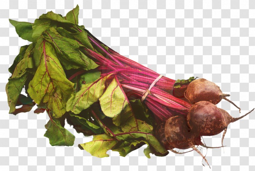 Vegetables Cartoon - Beet - Herb Root Vegetable Transparent PNG