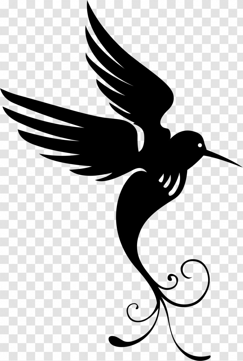 Hummingbird Drawing Silhouette Clip Art - Monochrome Photography - PARADİSE Transparent PNG