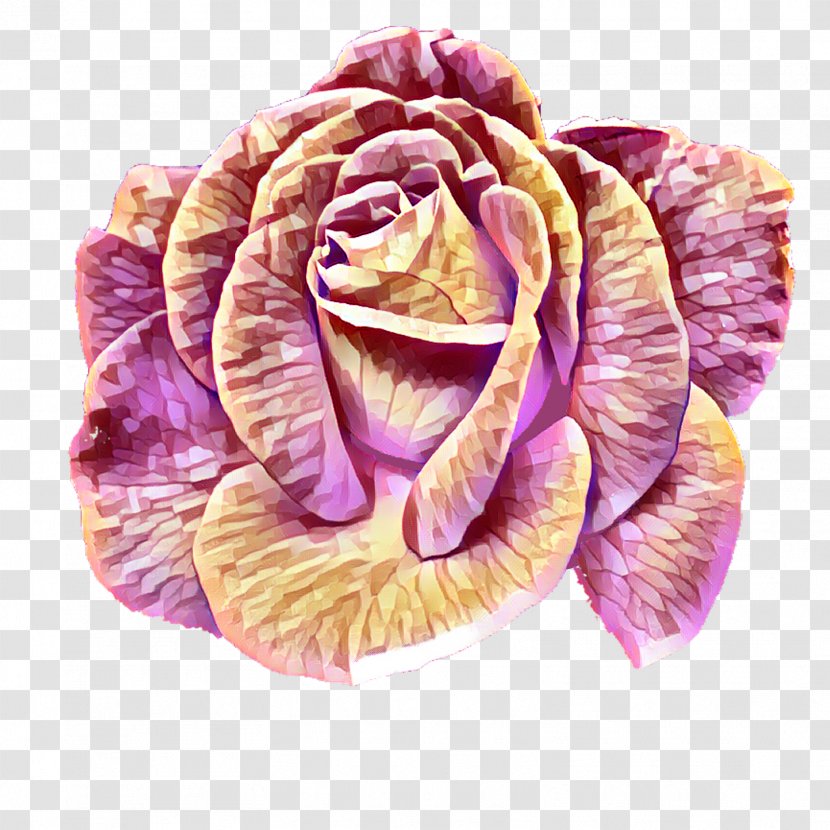 Cabbage Rose Garden Roses Petal Cut Flowers - Transparent Flower Wreath Transparent PNG