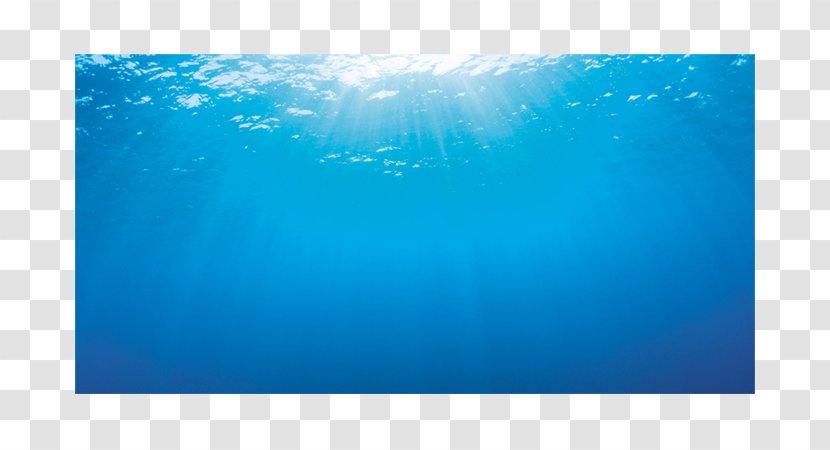 Light Fixture Aquarium Price Bitxi - Underwater Background Transparent PNG