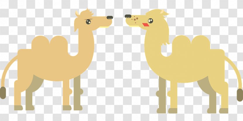 Dromedary Desert - Camel - Yellow Transparent PNG