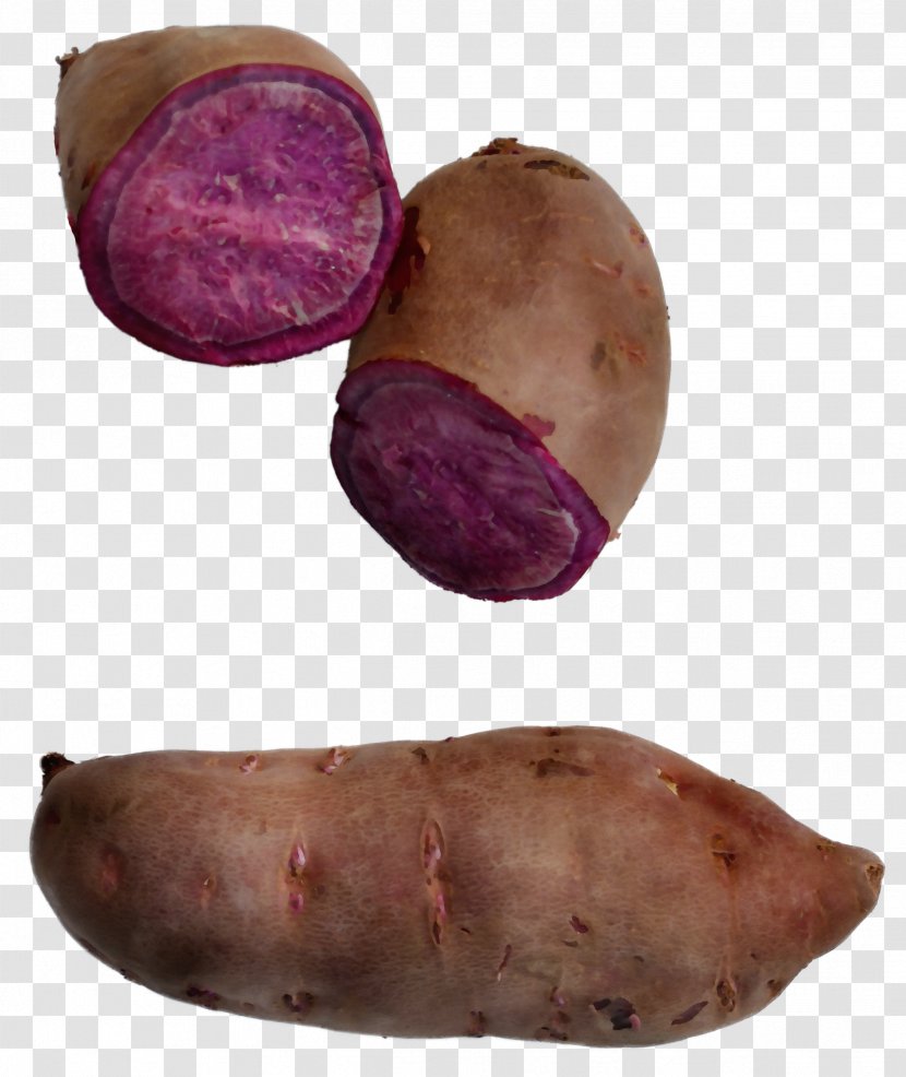 Sweet Potato Root Vegetable Yam Tuber - Russet Burbank Transparent PNG