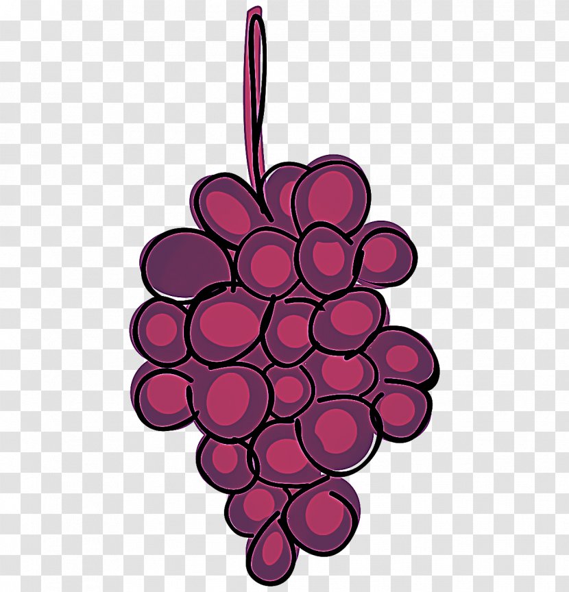 Pink Magenta Violet Grape Plant - Vitis - Flower Grapevine Family Transparent PNG