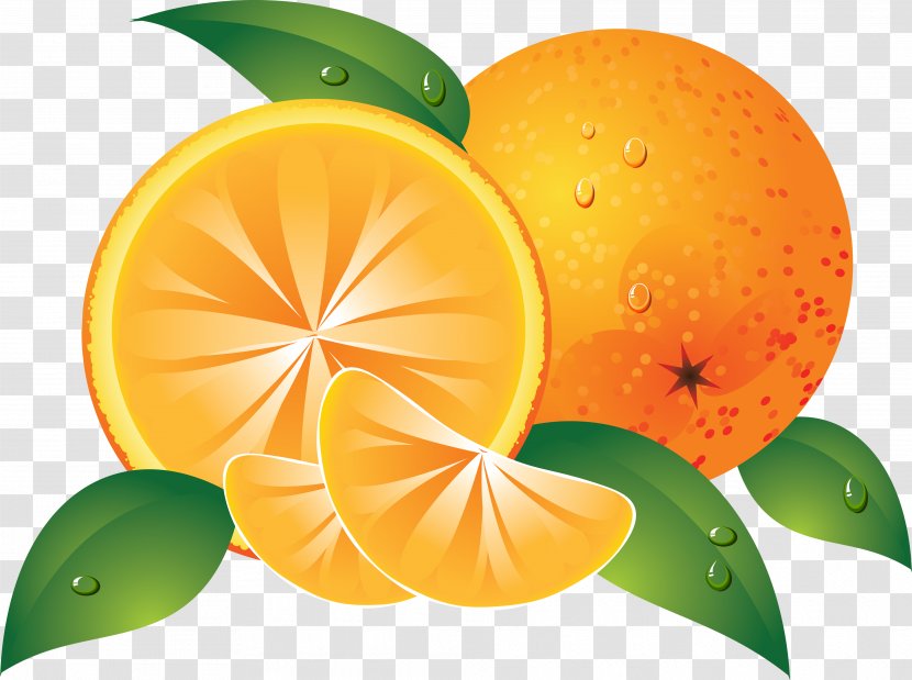Orange Slice Clip Art - Image, Free Download Transparent PNG