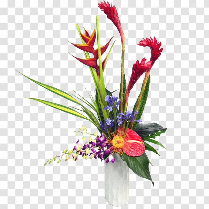 Cut Flowers Floristry Floral Design Flower Bouquet - Petal - Tropical Transparent PNG