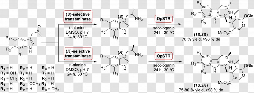 Strictosidine Catalysis Chemical Synthesis Pictet–Spengler Reaction Reserpine - Acid - Indole Alkaloid Transparent PNG