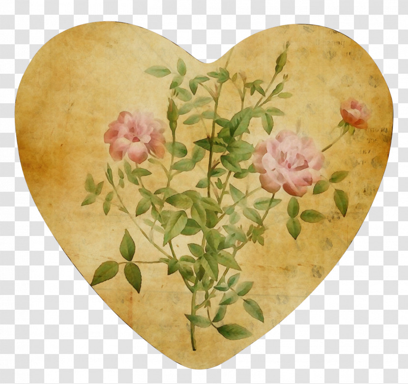 Petal Transparent PNG