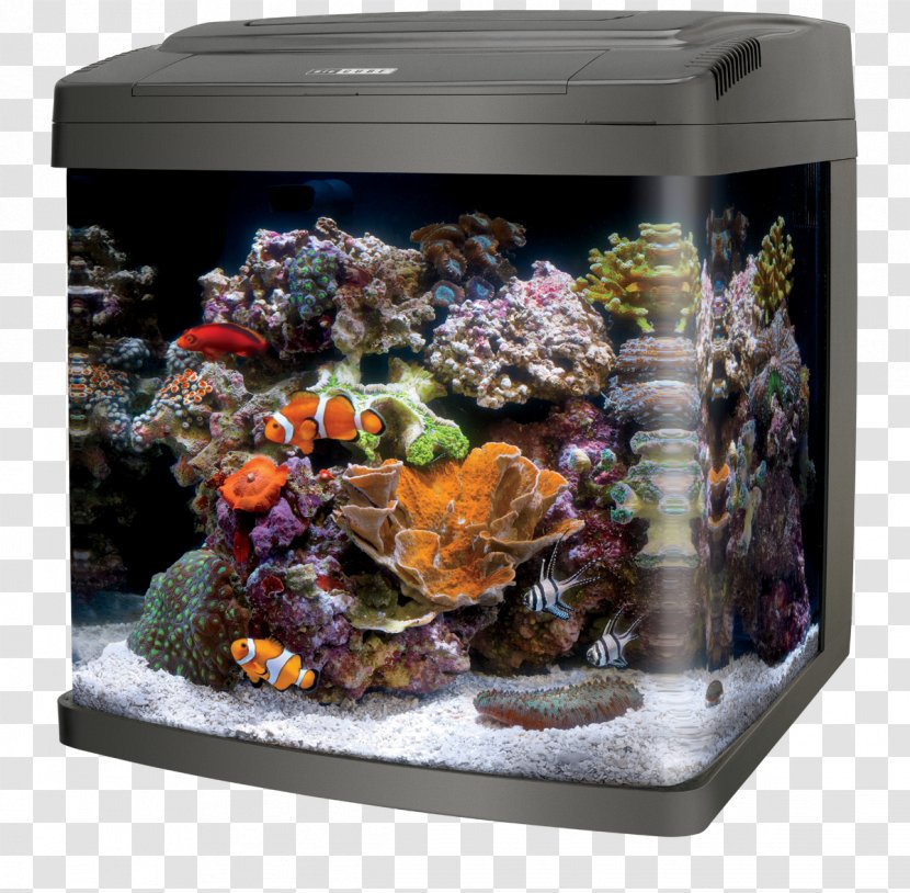 Coralife LED BioCube Bio Cube 32 Aquariums Reef Aquarium - Fish Only - Lighting Transparent PNG