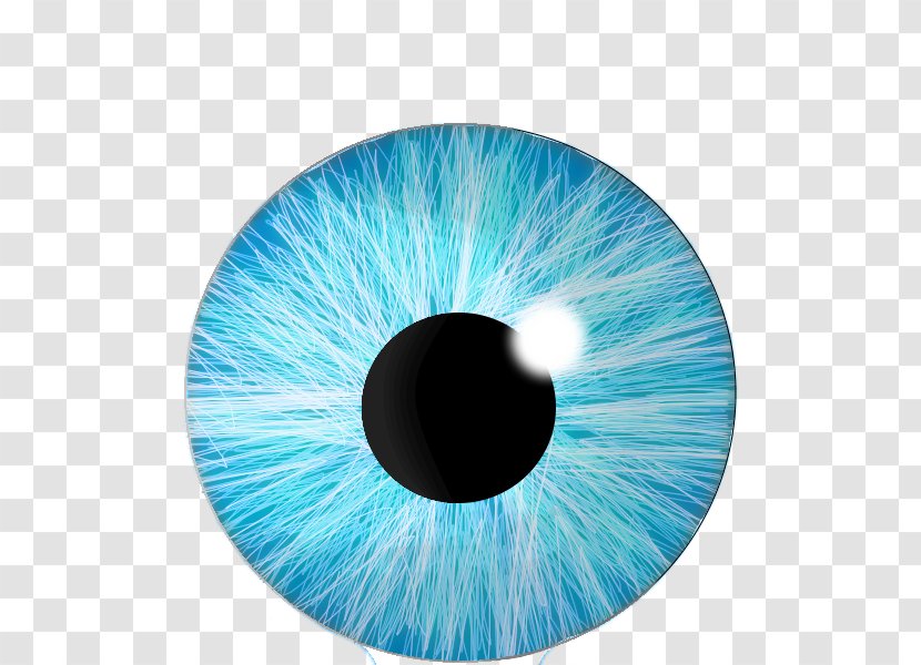 Iris Eye Color Blue - Cartoon Transparent PNG