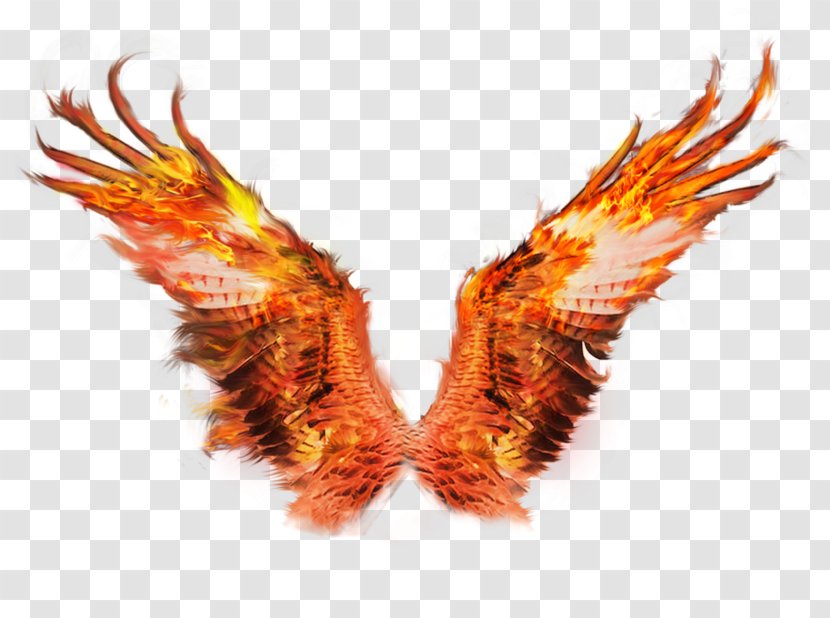 Fire Wings Sacramento Phoenix Firebird - Flame Transparent PNG