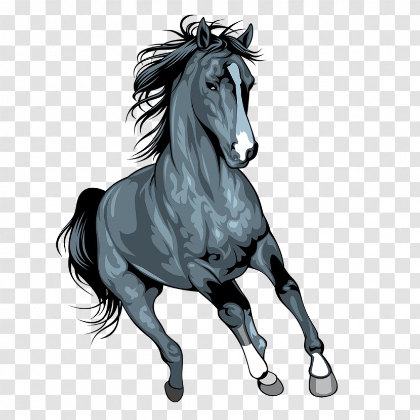 Mustang Arabian Horse Pony Illustration Art - Fictional Character - Grey Transparent PNG