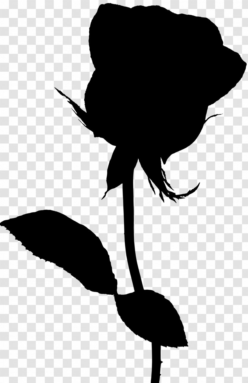 Bird Clip Art Flower Plant Stem Leaf - Plants - Beak Transparent PNG