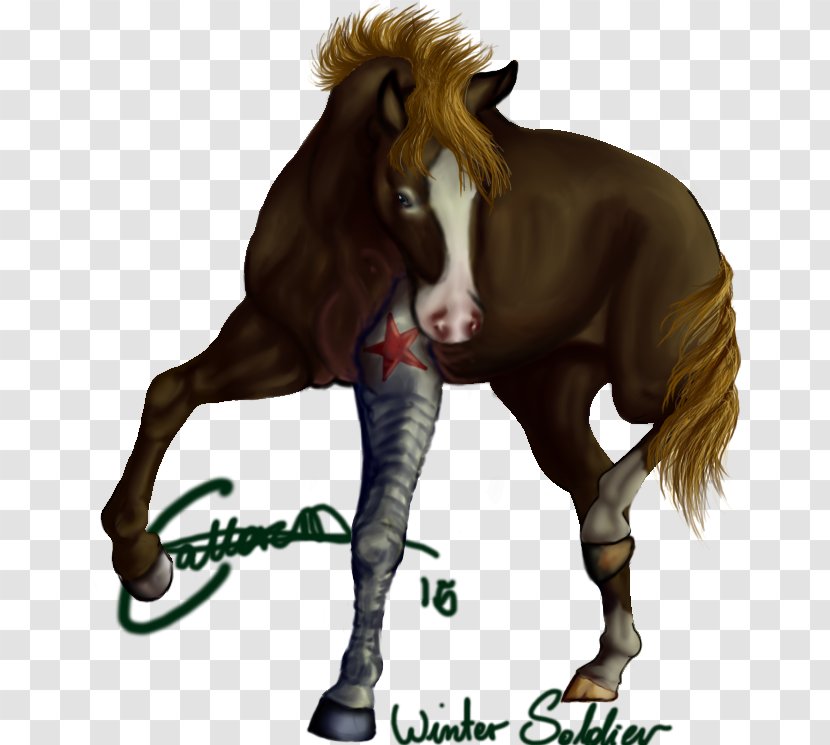 Mustang Foal Stallion Mare Colt - Fictional Character Transparent PNG