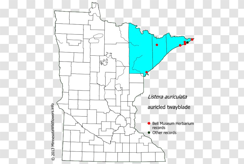 Pine County, Minnesota Murray Freeborn Roseau Lake Of The Woods - County - Map Transparent PNG