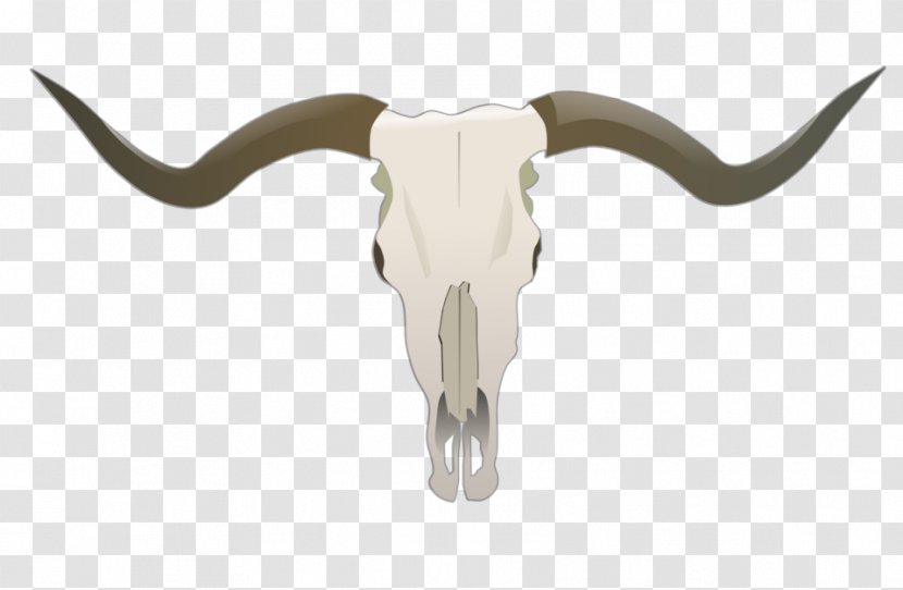 Texas Longhorn Skull Clip Art - Cattle Like Mammal - Gnokii Transparent PNG