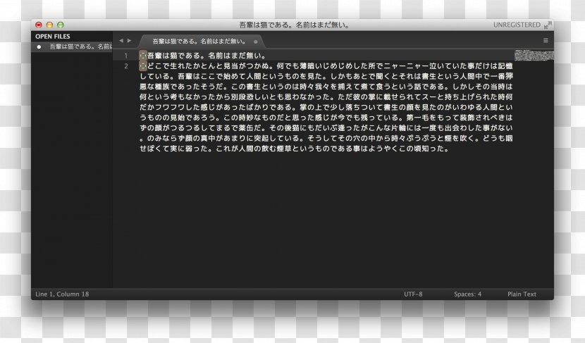 Slack Display Device Screenshot Font - Sublime Transparent PNG