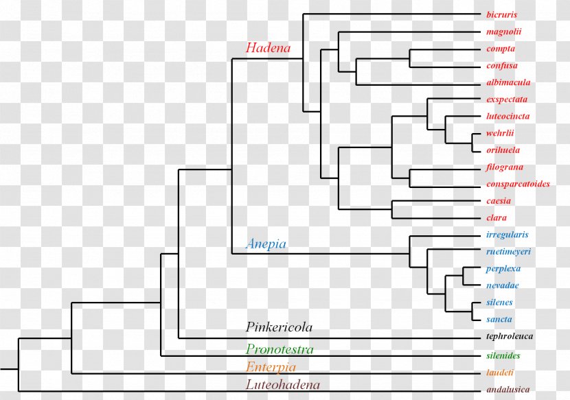 Document Line Floor Plan - Diagram - Design Transparent PNG