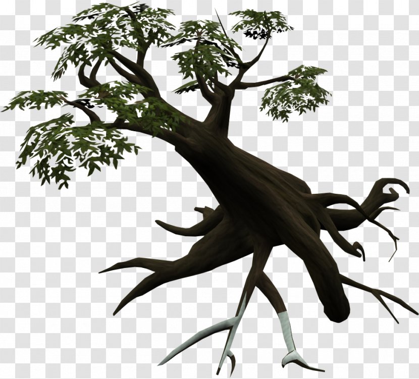 Tree Season Woody Plant Branch Hawthorn - Seasons Transparent PNG